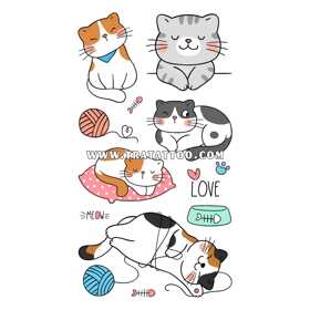 Котики