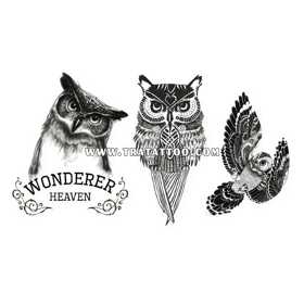 Wonderer
