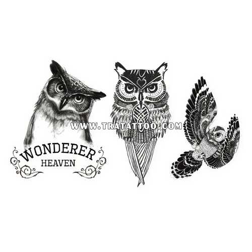 Wonderer