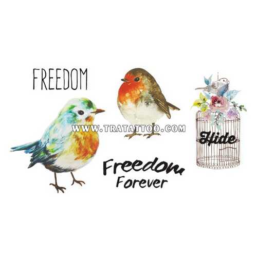 Freedom