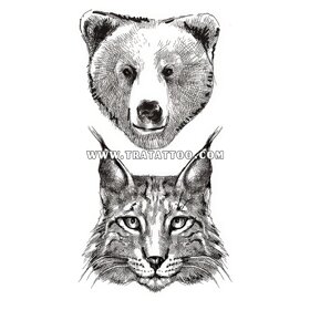 Рись