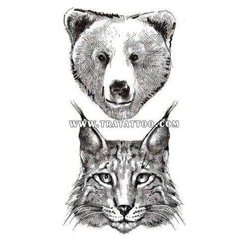 Рись