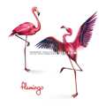Тату-стикер "Flamingo"