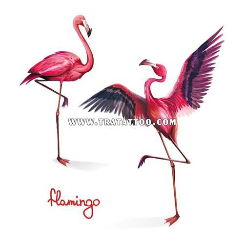 Flamingo
