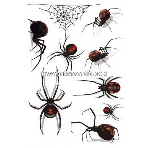 Spider