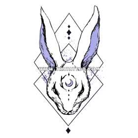 Rabbit