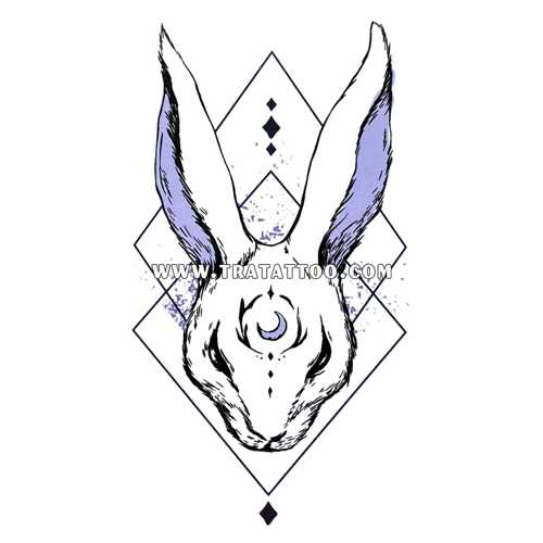 Rabbit