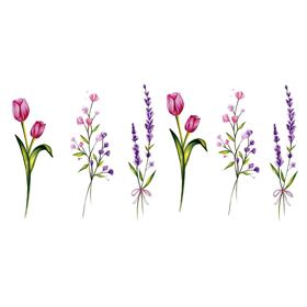 Tulip