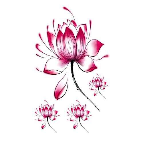 Lotus