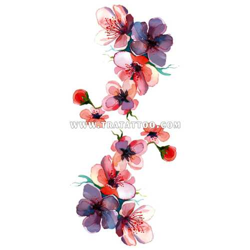 Sakura