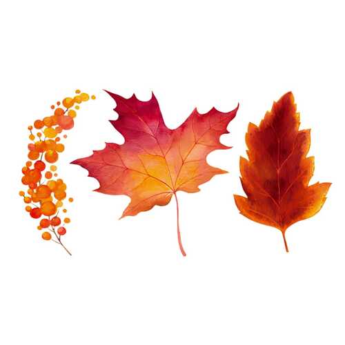 Autumn
