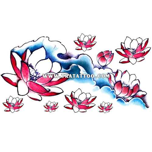 Lotus