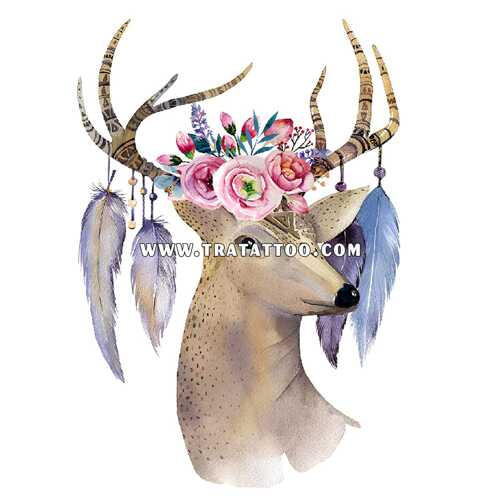 Deer