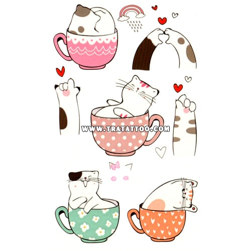 Котики