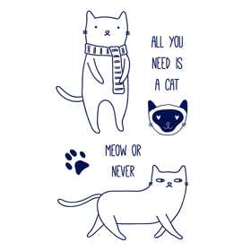 Meow or Never