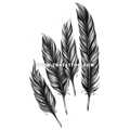 Тату-стикер "Feathers"