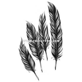 Feathers