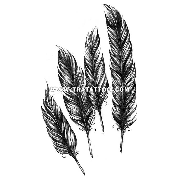 Тату-стикер "Feathers"