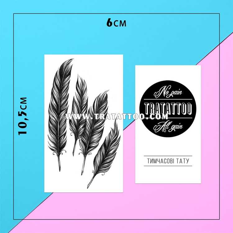 Тату-стикер "Feathers"