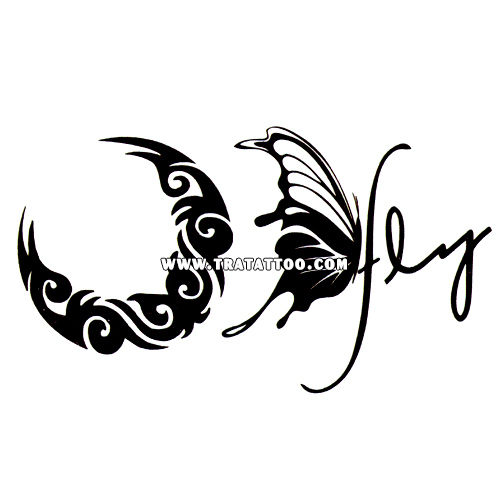 Fly